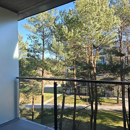 Pusynas Ir Jura * Palanga
